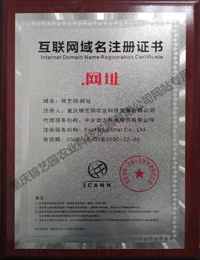 域名注冊證書